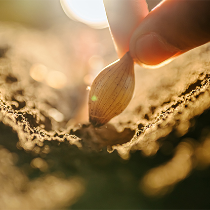 Maa- ja metsätalous